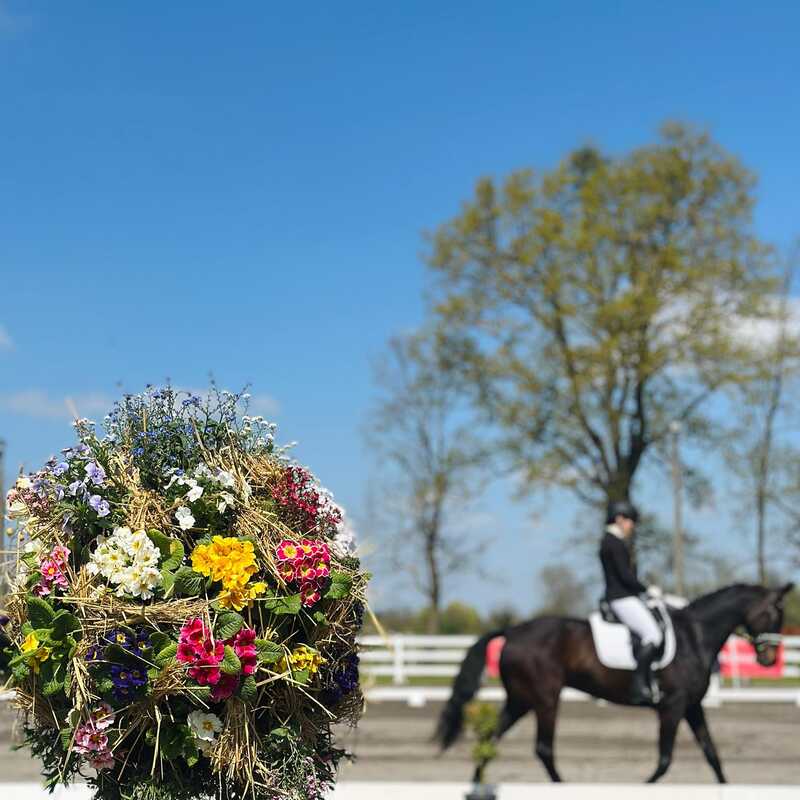 Ulaz u natjecateljski dresurni teren na Ergeli Galop team