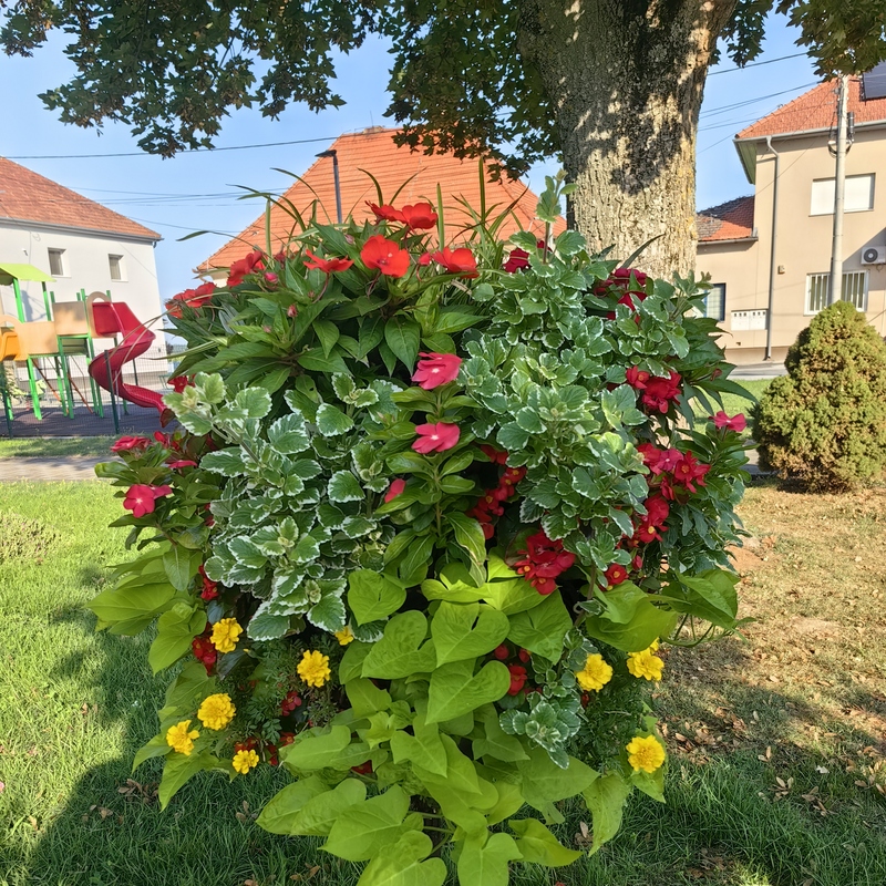 Šarenka - Kugla Cvjetirka fi 60cm
